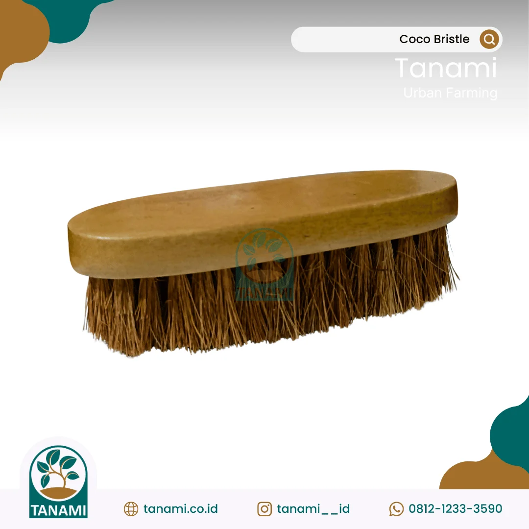 coconut bristle brush