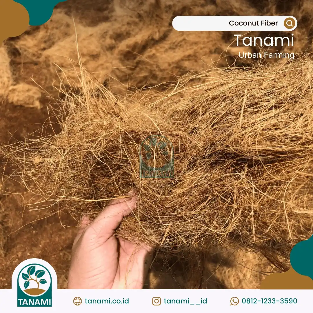 coconut fiber supplier