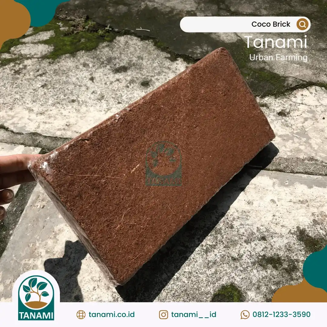 cocopeat balok