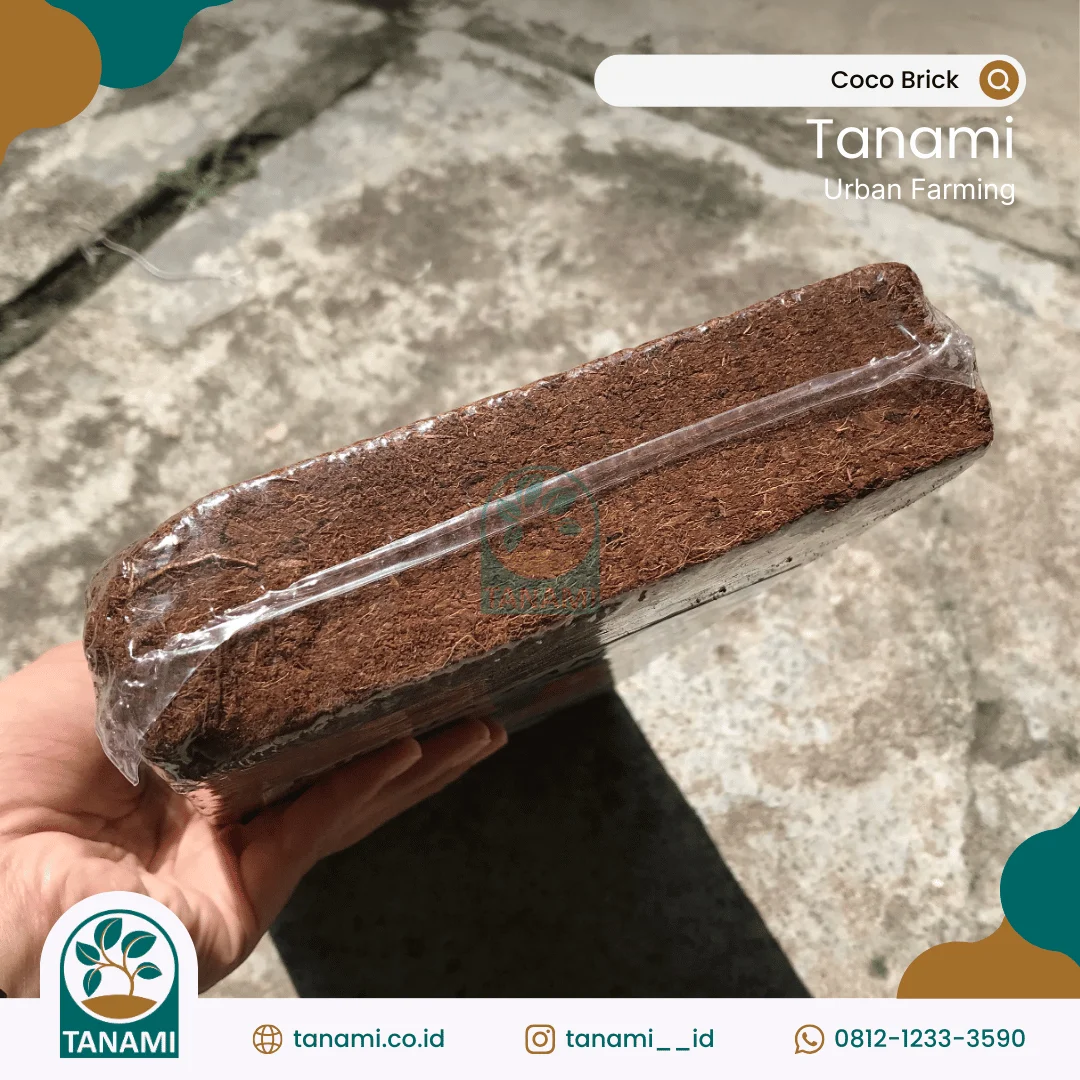 cocopeat brick