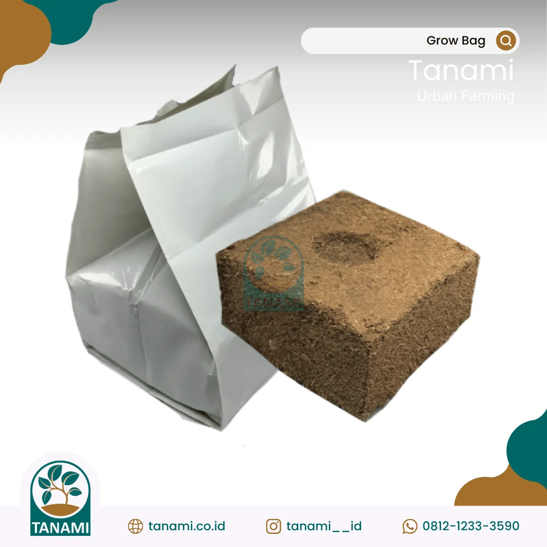 cocopeat grow bag