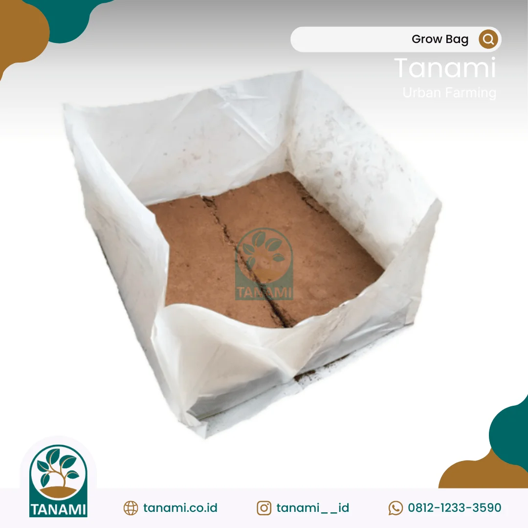 Grow Bag cocopeat polybag