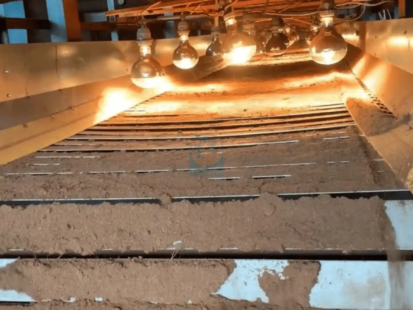 cocopeat sabut kelapa