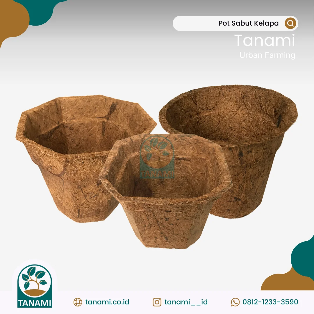harga pot sabut kelapa