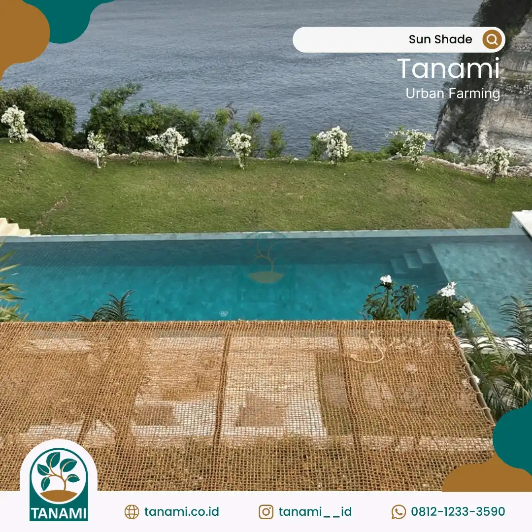 kanopi teras rumah minimalis