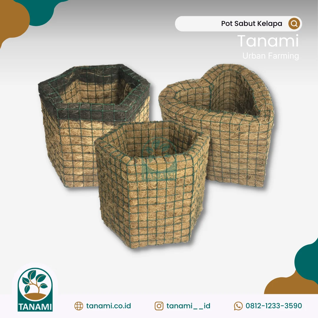 kelebihan pot sabut kelapa