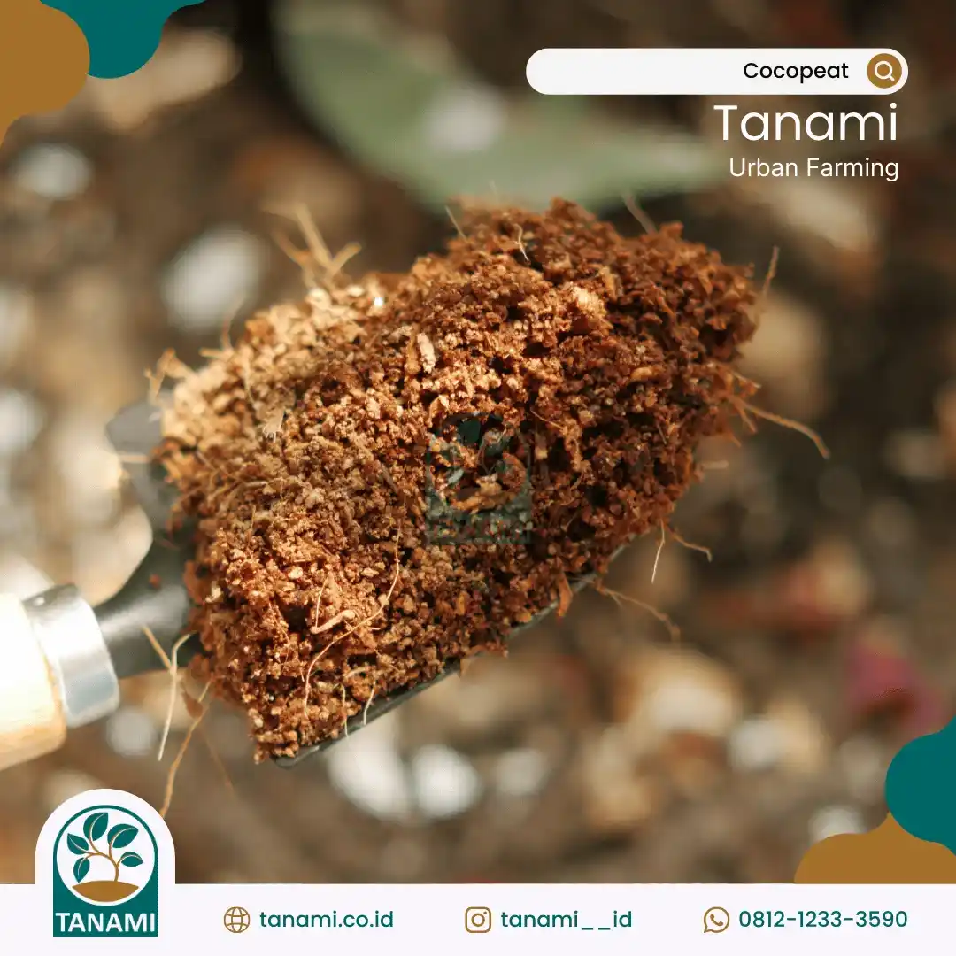 kokopit tanaman, produk sabut kelapa