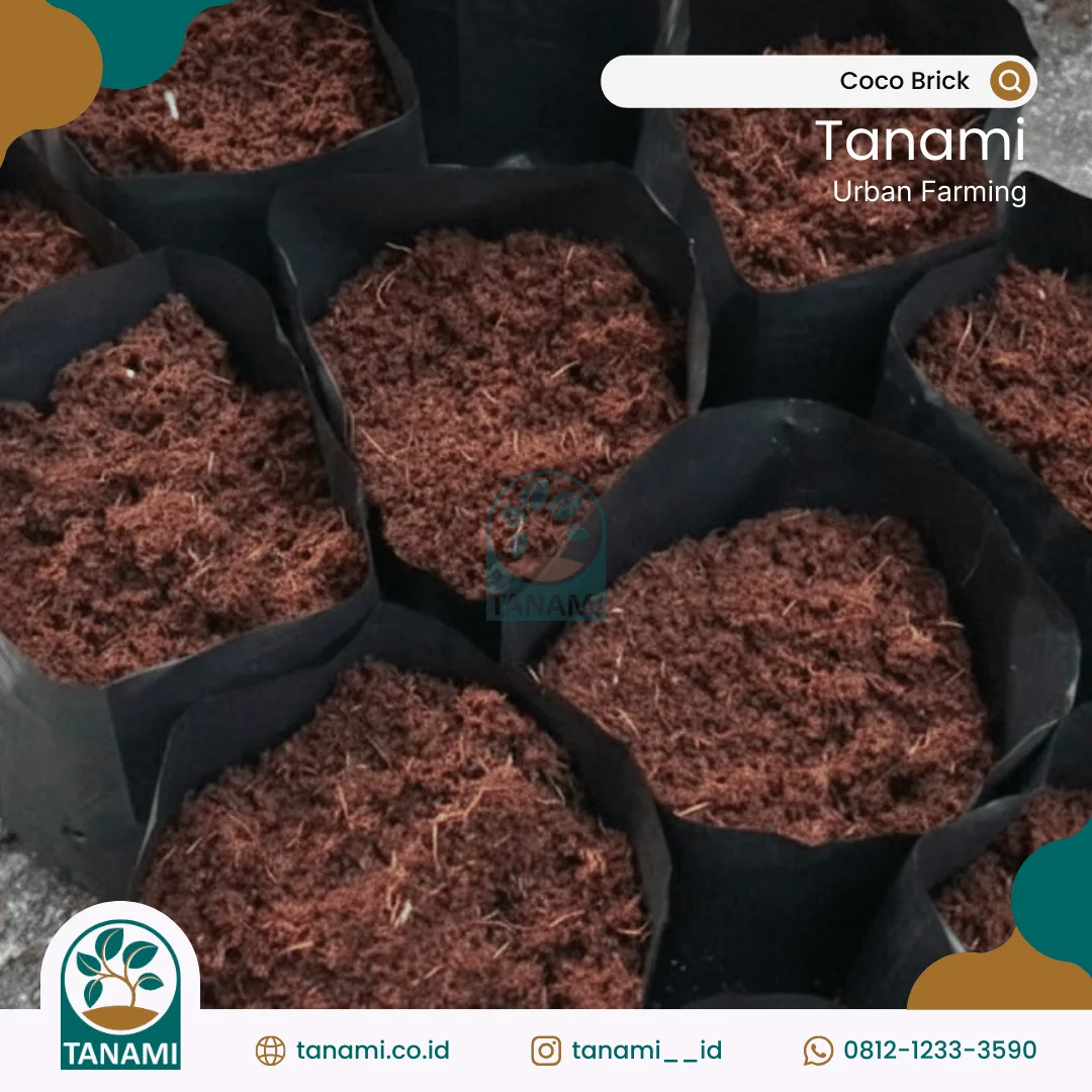 media tanam cocopeat