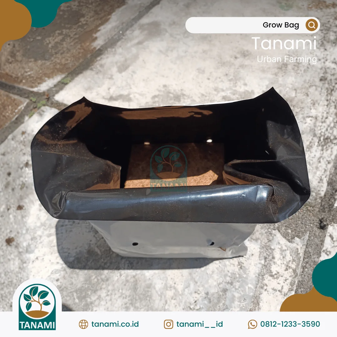 Grow Bag media tanam di polybag