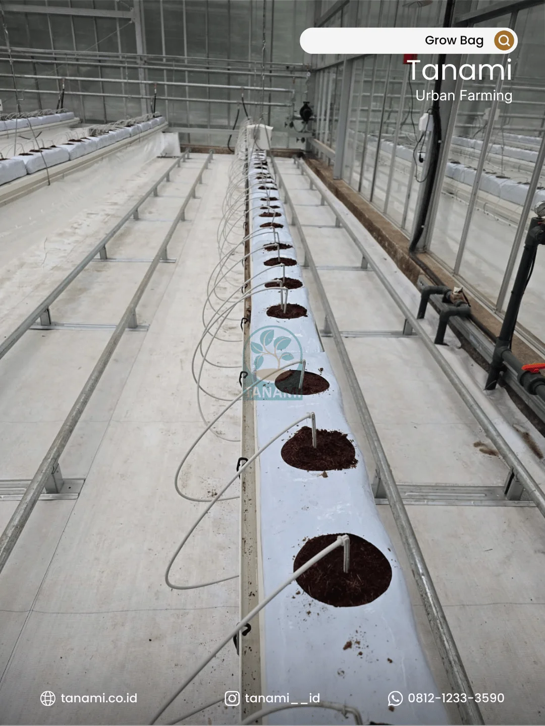 Grow Bag media tanam hidroponik