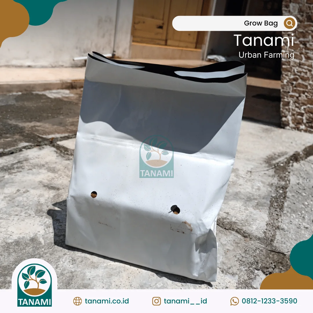 Grow Bag media tanam sayuran di polybag