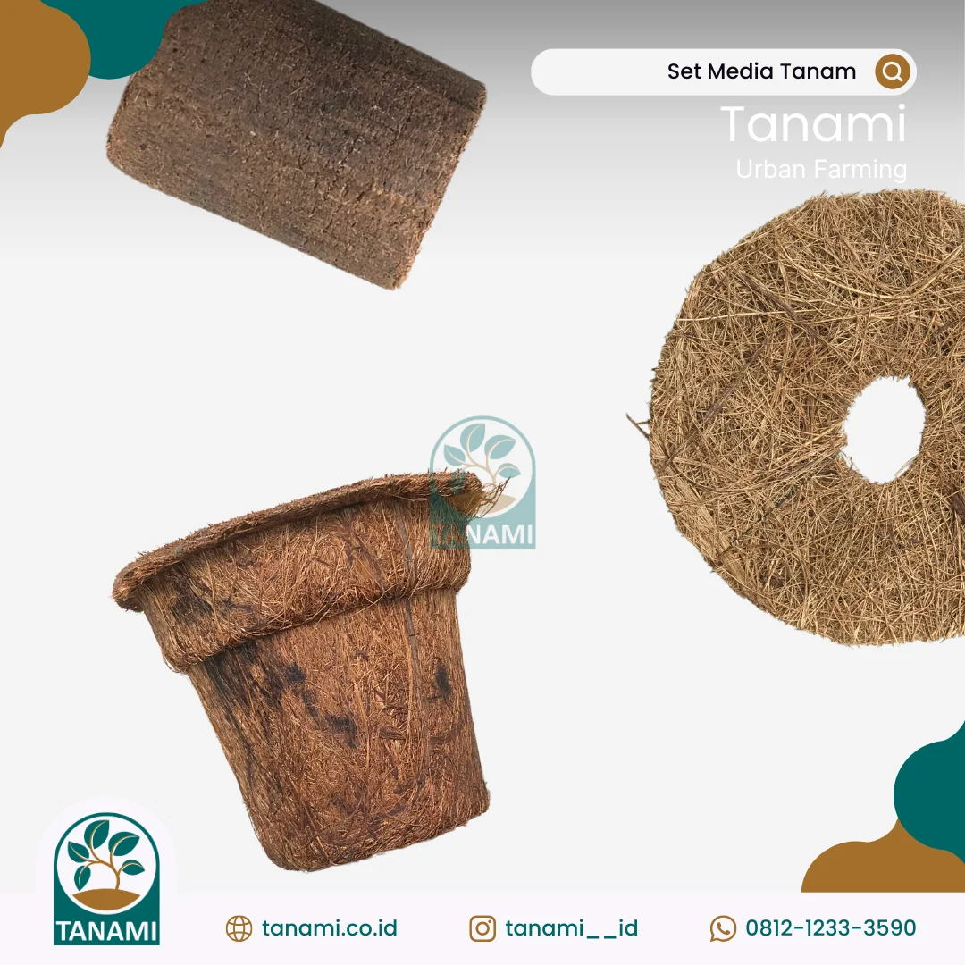 paket berkebun di rumah