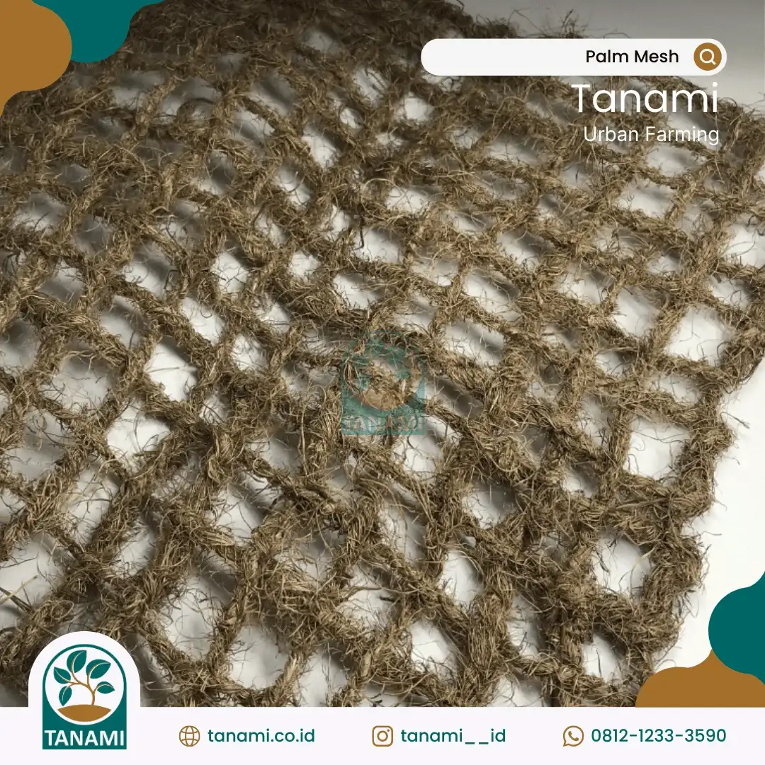 palm mesh
