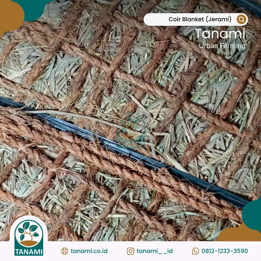 pencegahan erosi di daerah miring