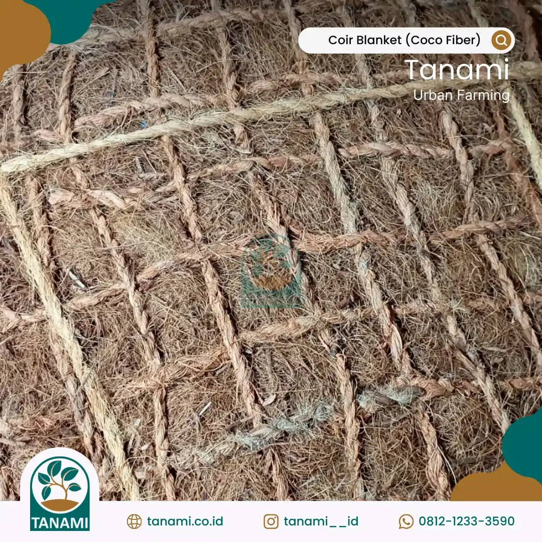 pencegahan erosi tanah