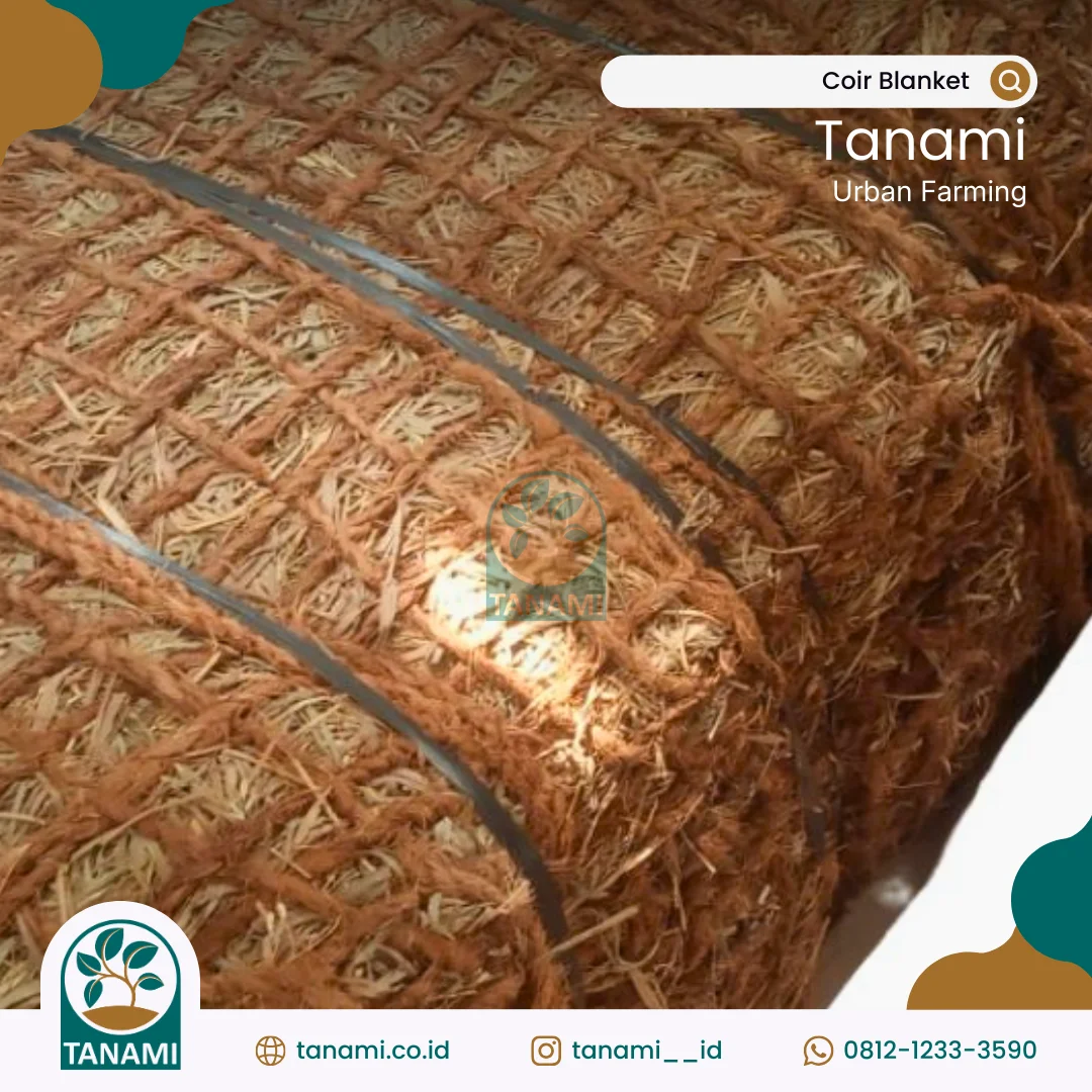 pengendalian erosi tanah