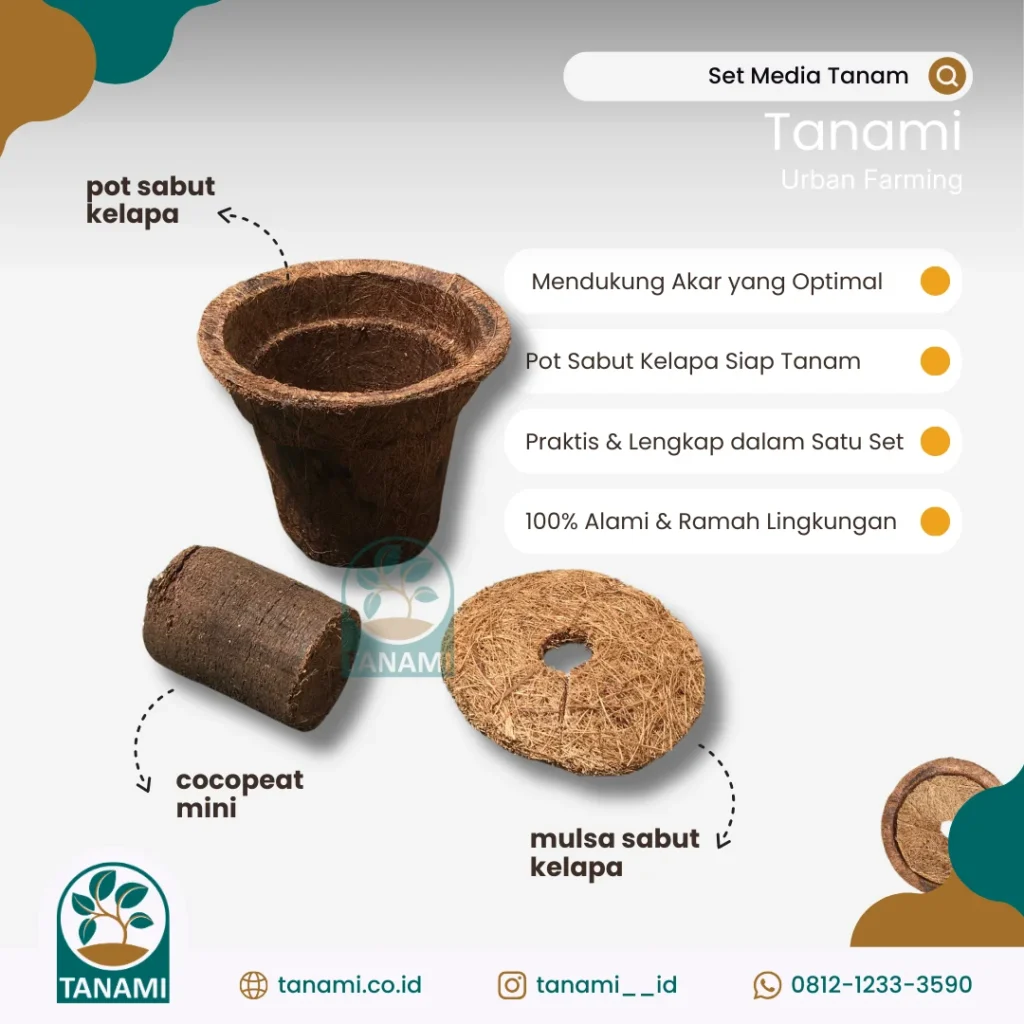 set media tanam