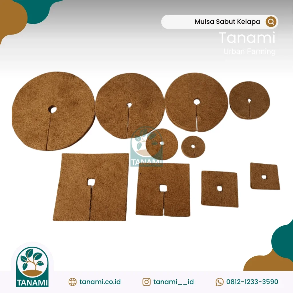 Cara membuat mulsa sabut kelapa