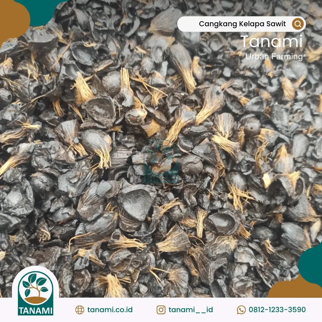 biomassa cangkang sawit non screening