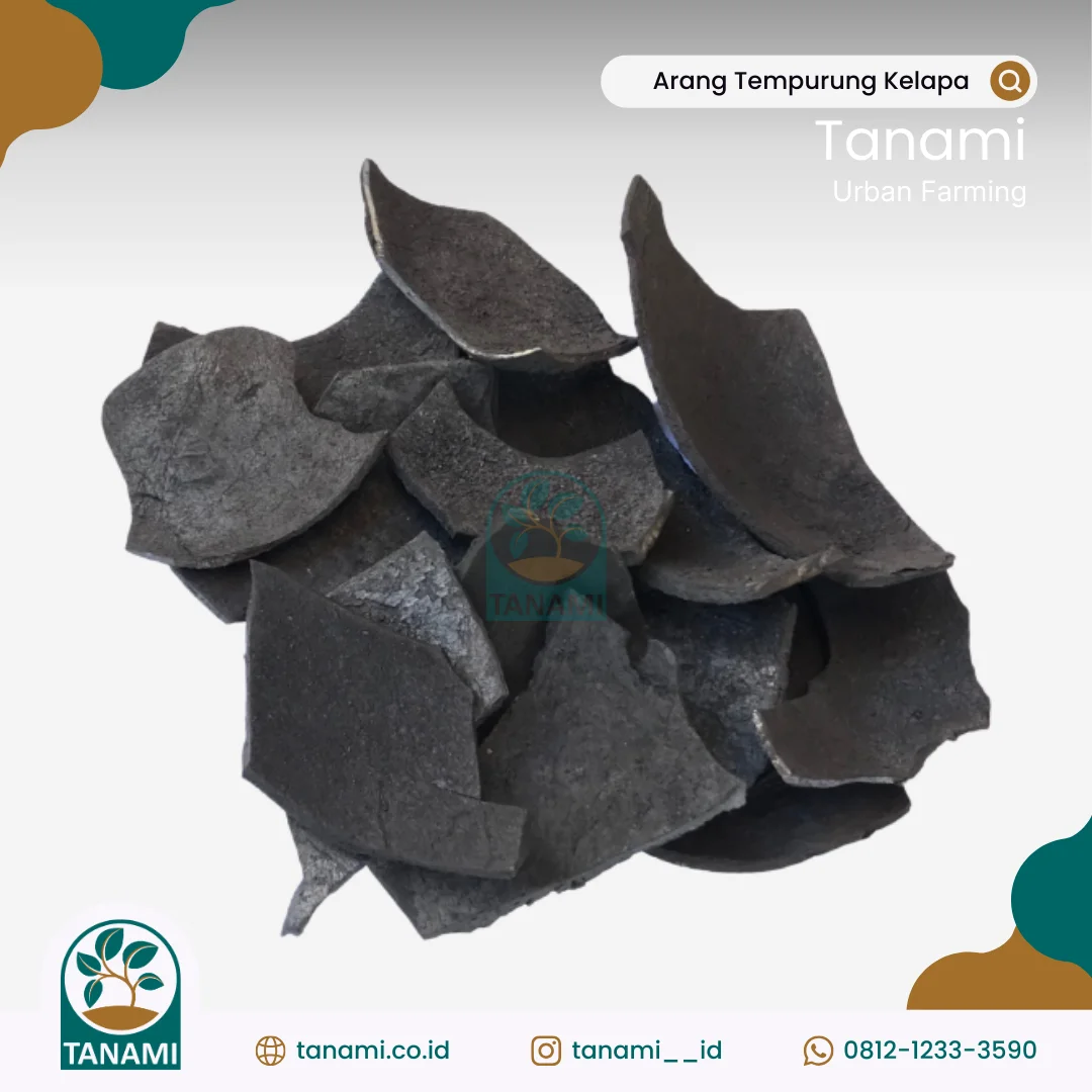 coconut shell charcoal