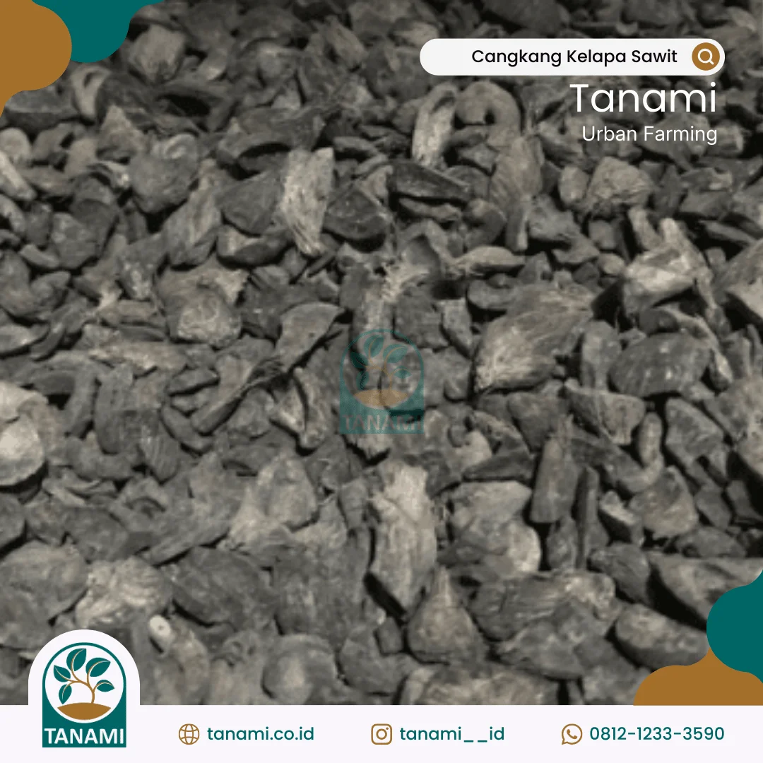 limbah cangkang kelapa sawit