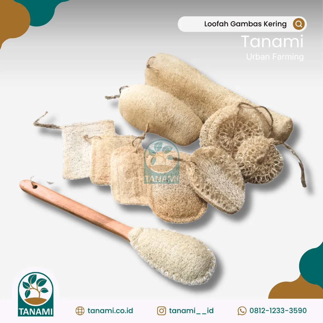 scrub wajah alami untuk mengangkat sel kulit mati