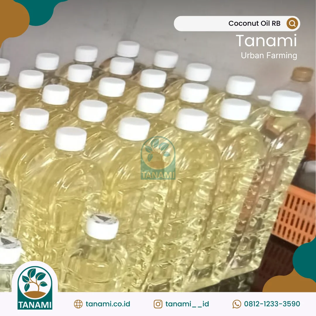 minyak kelapa untuk wajah