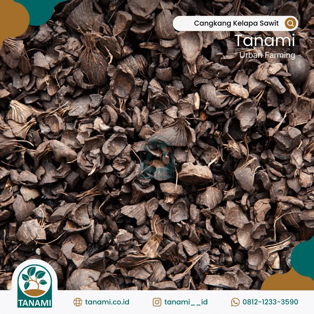 palm kernel shell indonesia