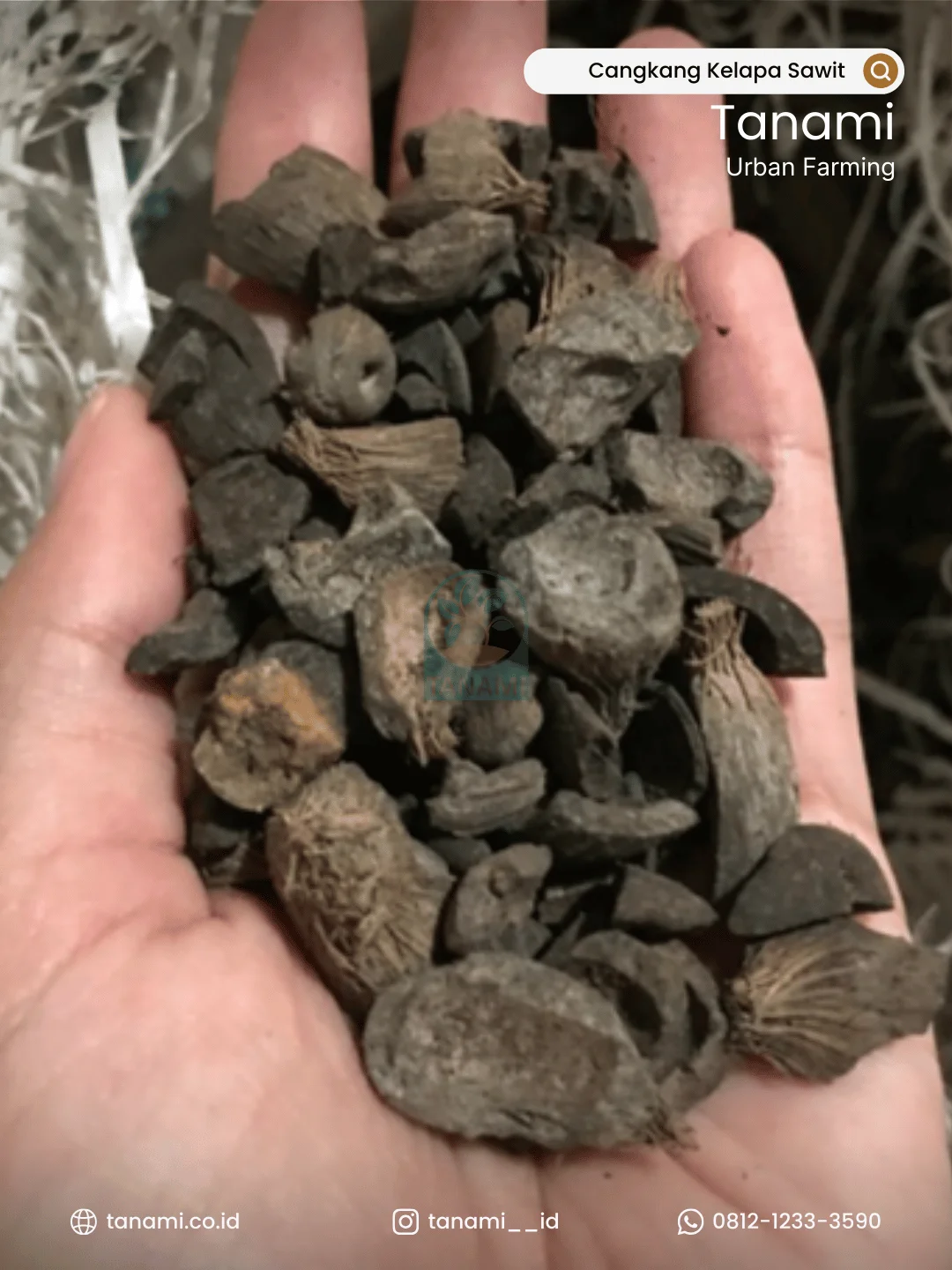 palm kernel shell pks