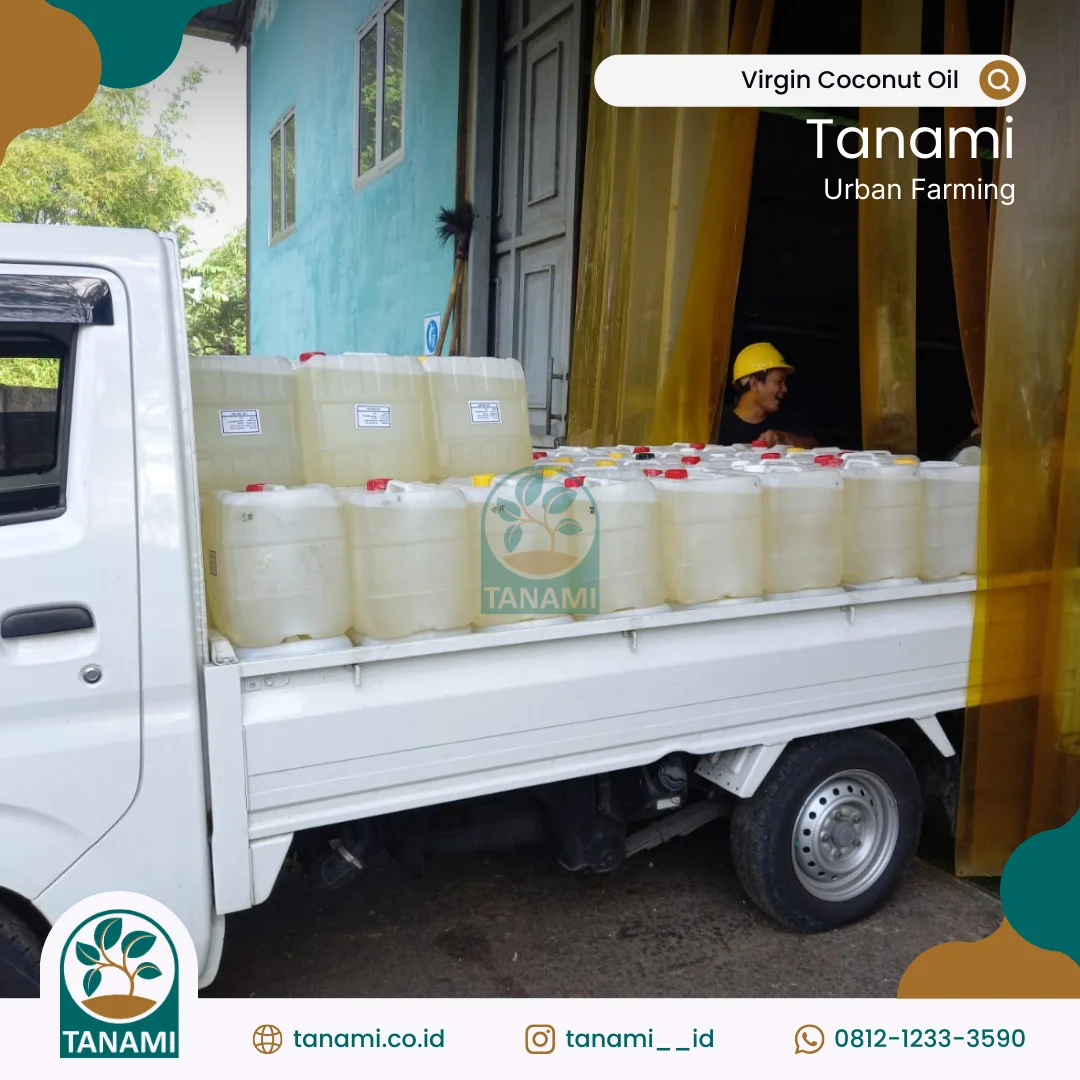 vco minyak kelapa