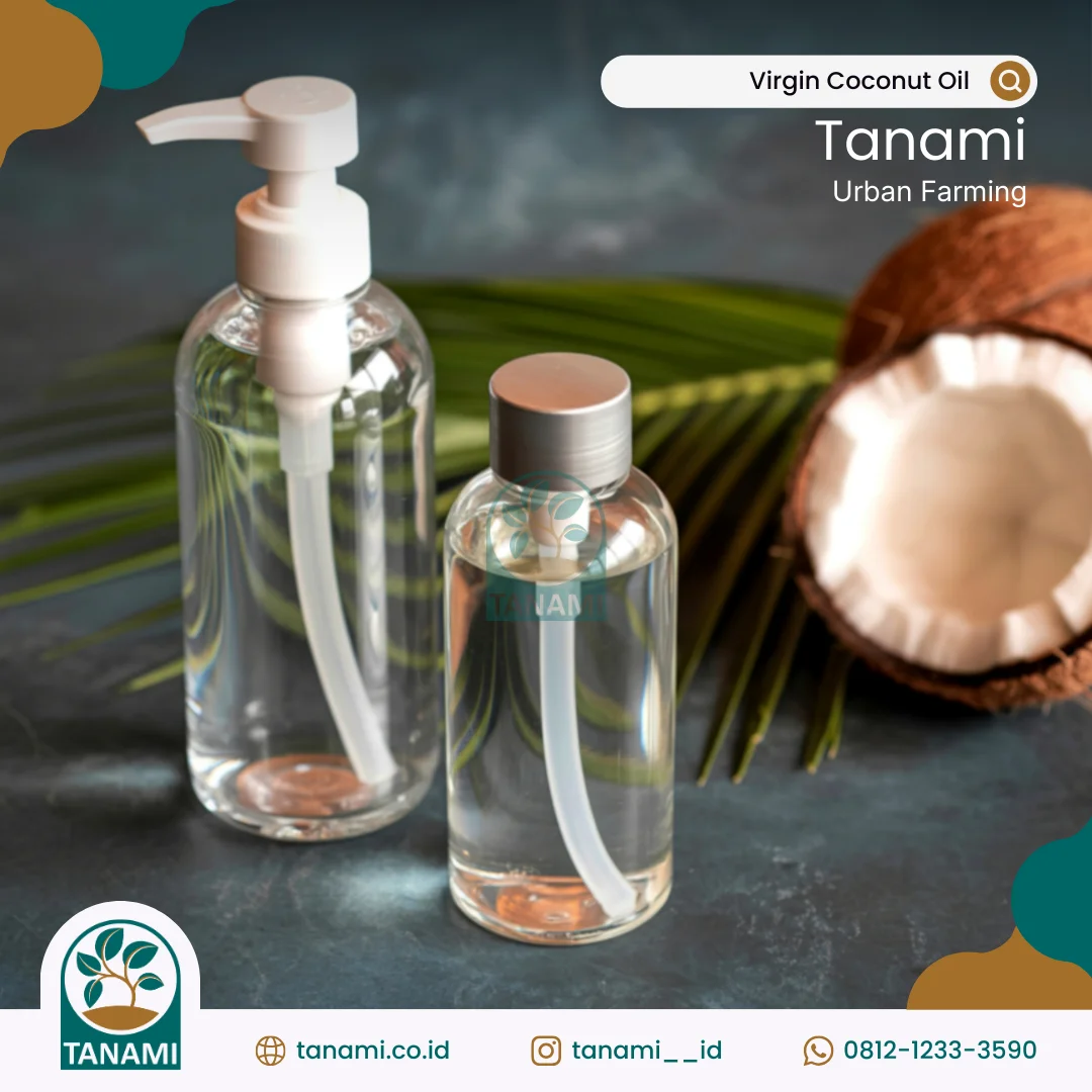 virgin coconut oil adalah
