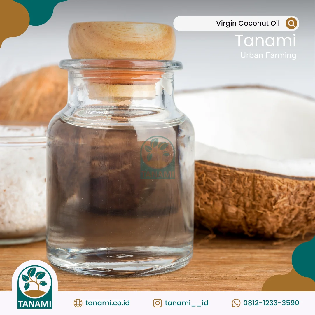 virgin coconut oil vco