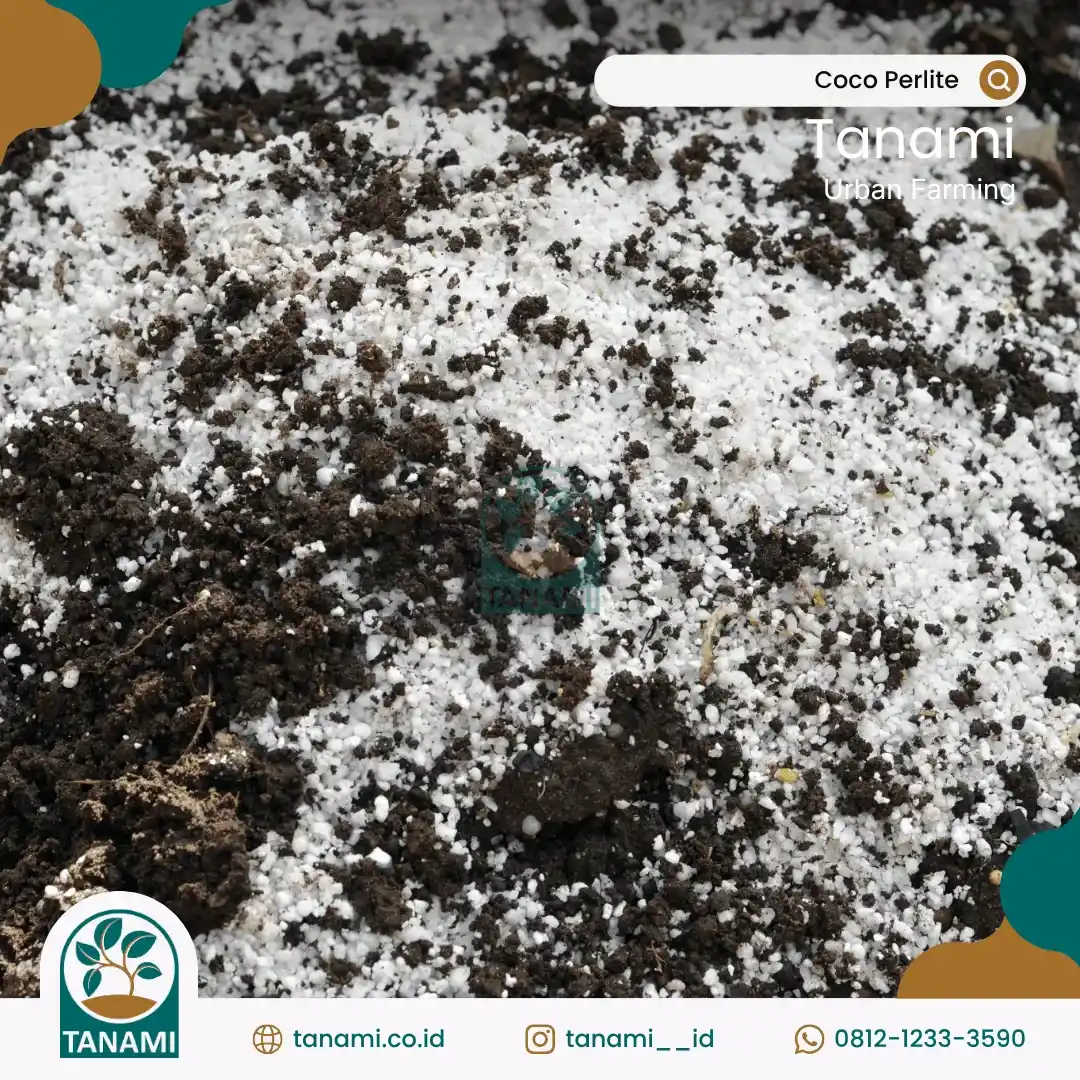 campuran media tanam yang bagus