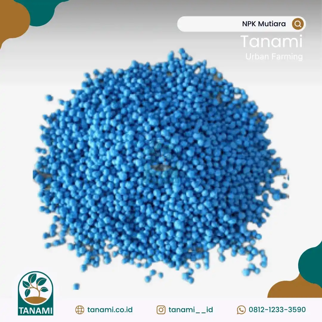 harga pupuk npk mutiara 50 kg