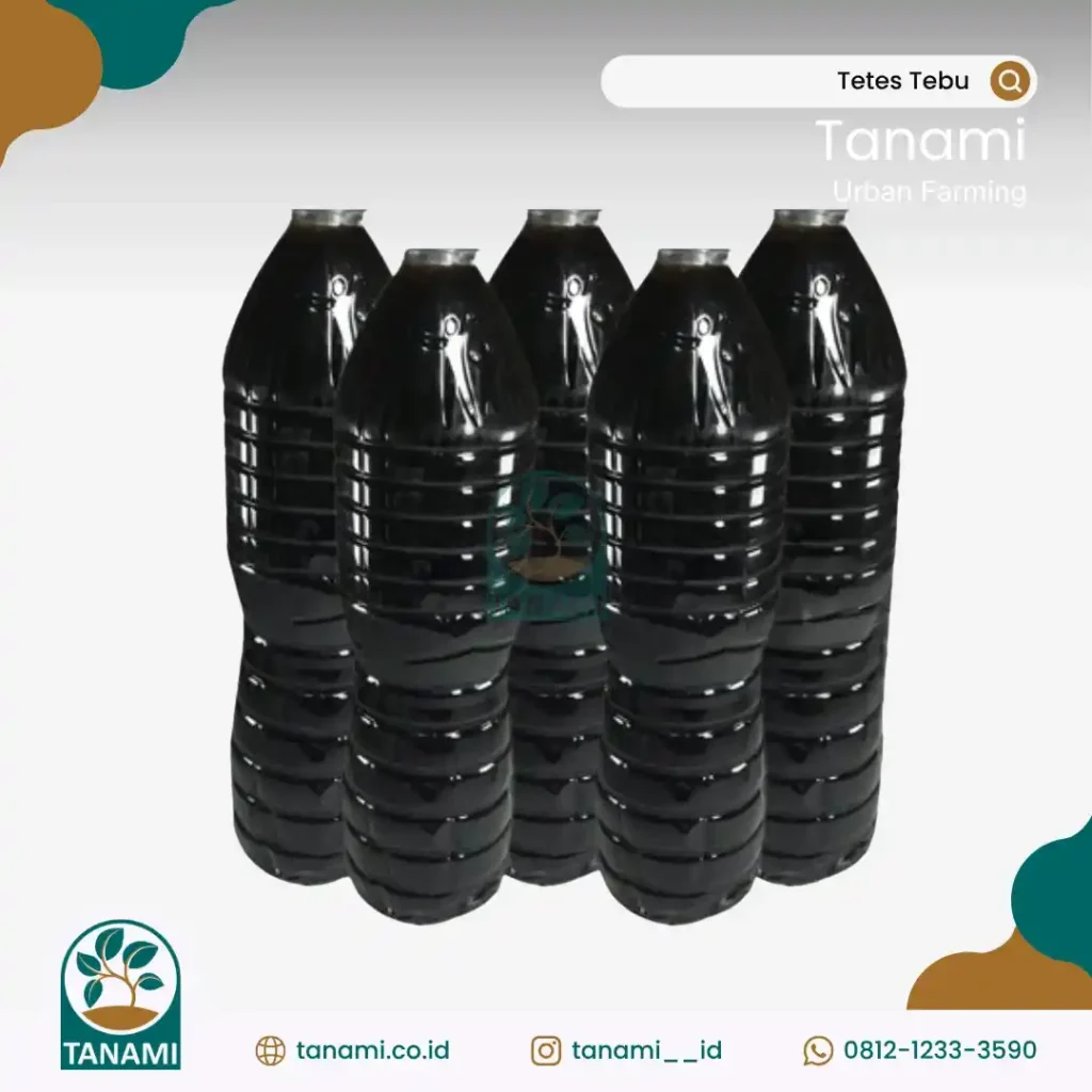 manfaat tetes tebu untuk tanaman
