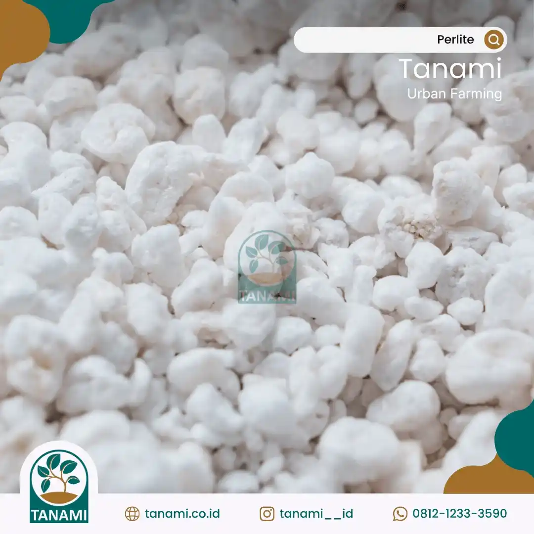 perlite media tanam