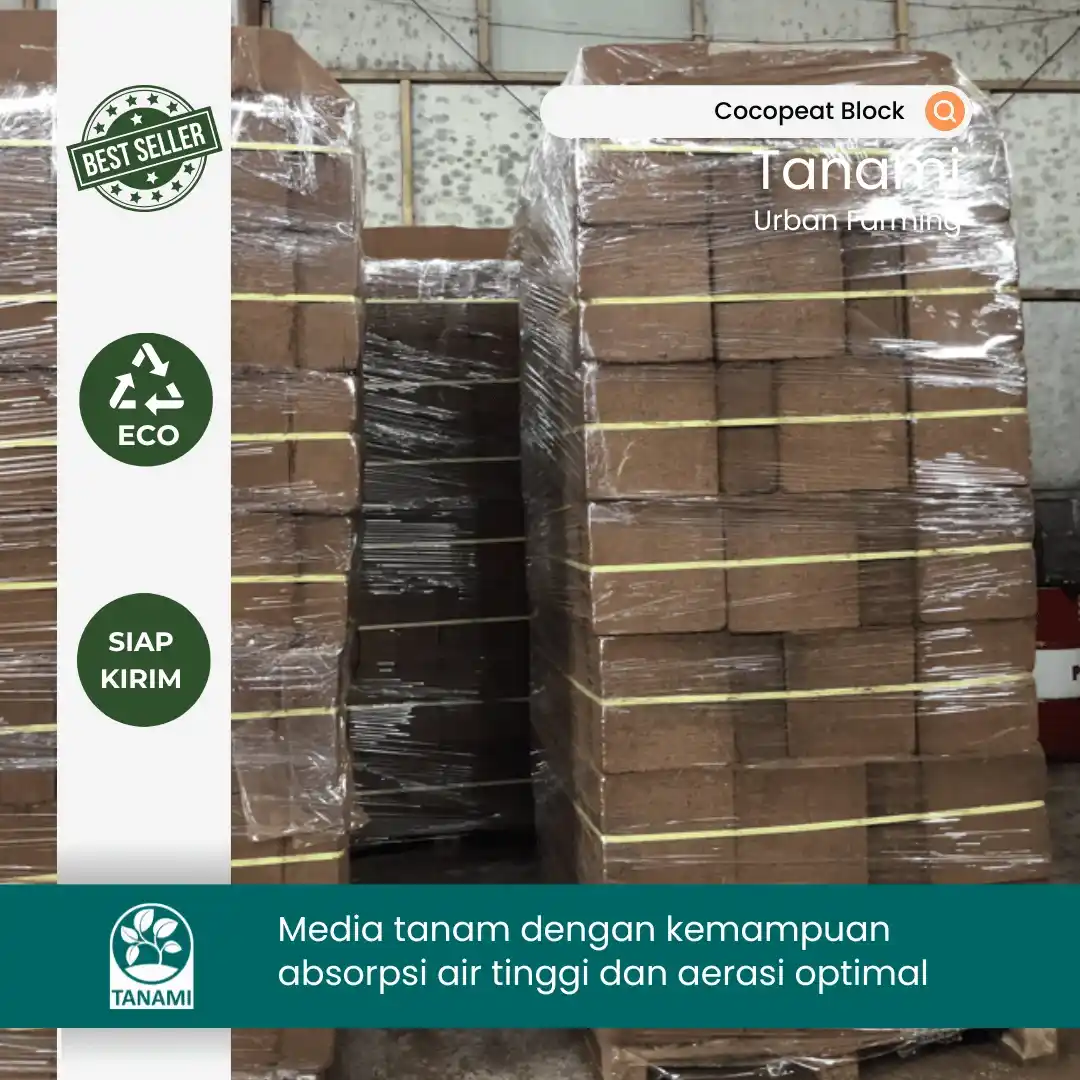 cocopeat block 5 kg price