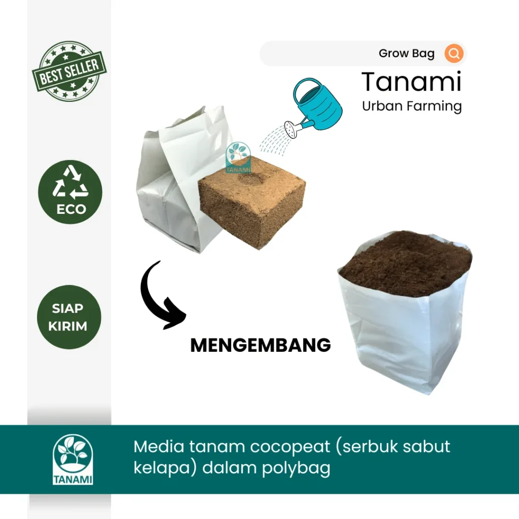 grow bag media tanam