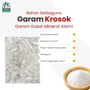garam kasar beli dimana