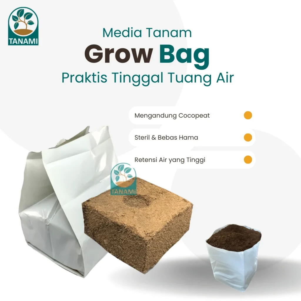grow bag media tanam