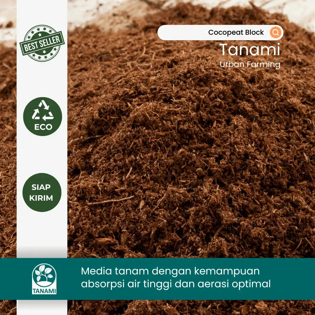 harga cocopeat block 5 kg