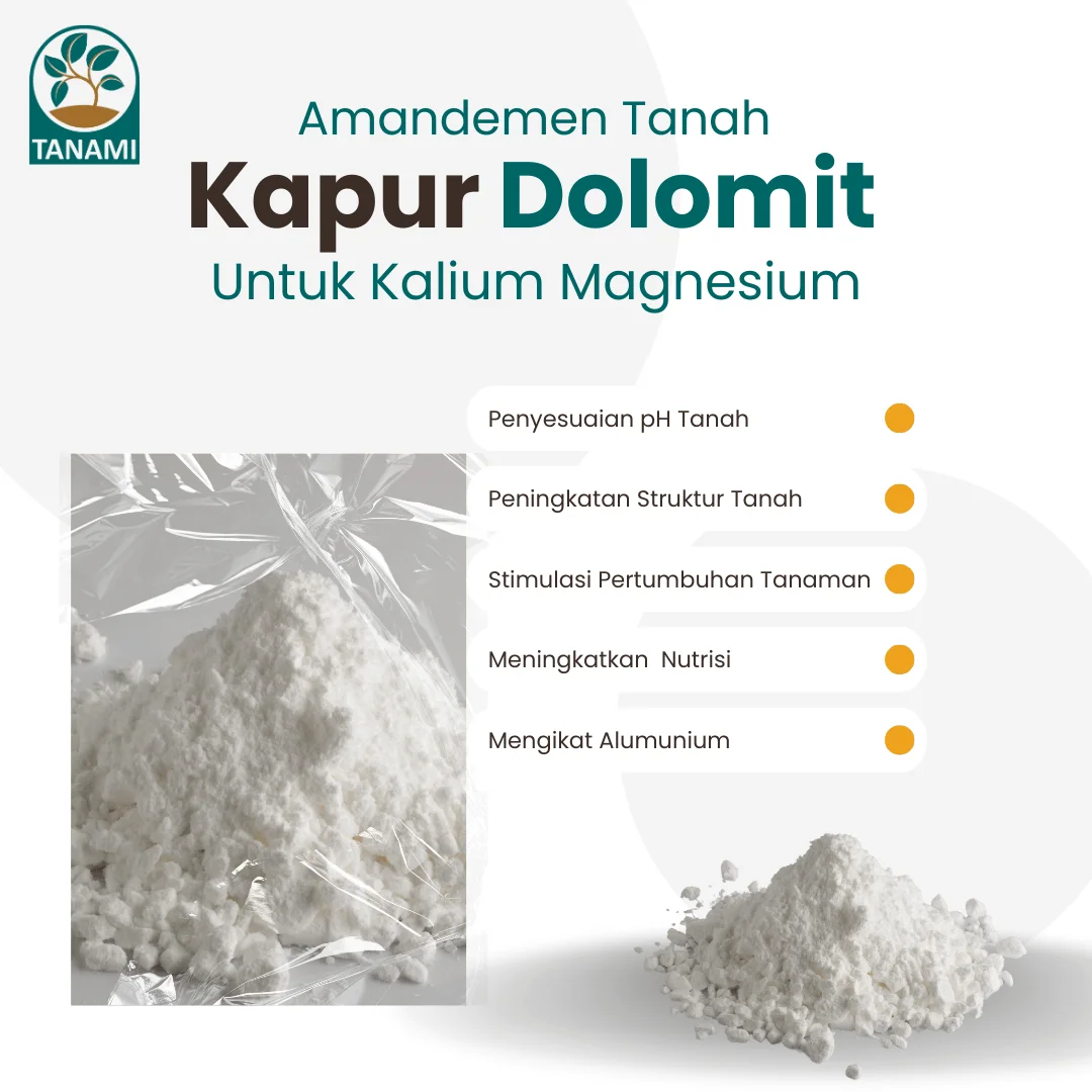 harga kapur dolomit