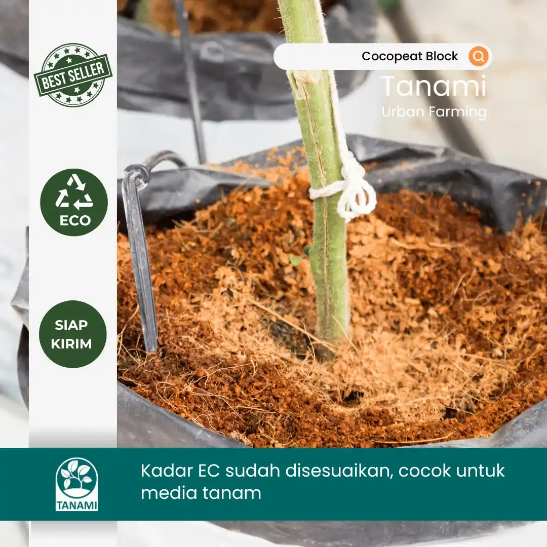 jual cocopeat block terdekat