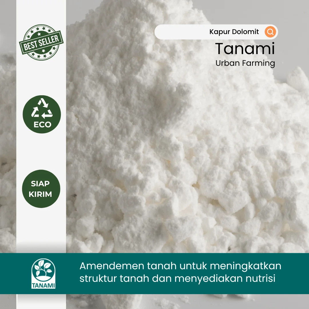 kapur dolomit beli dimana