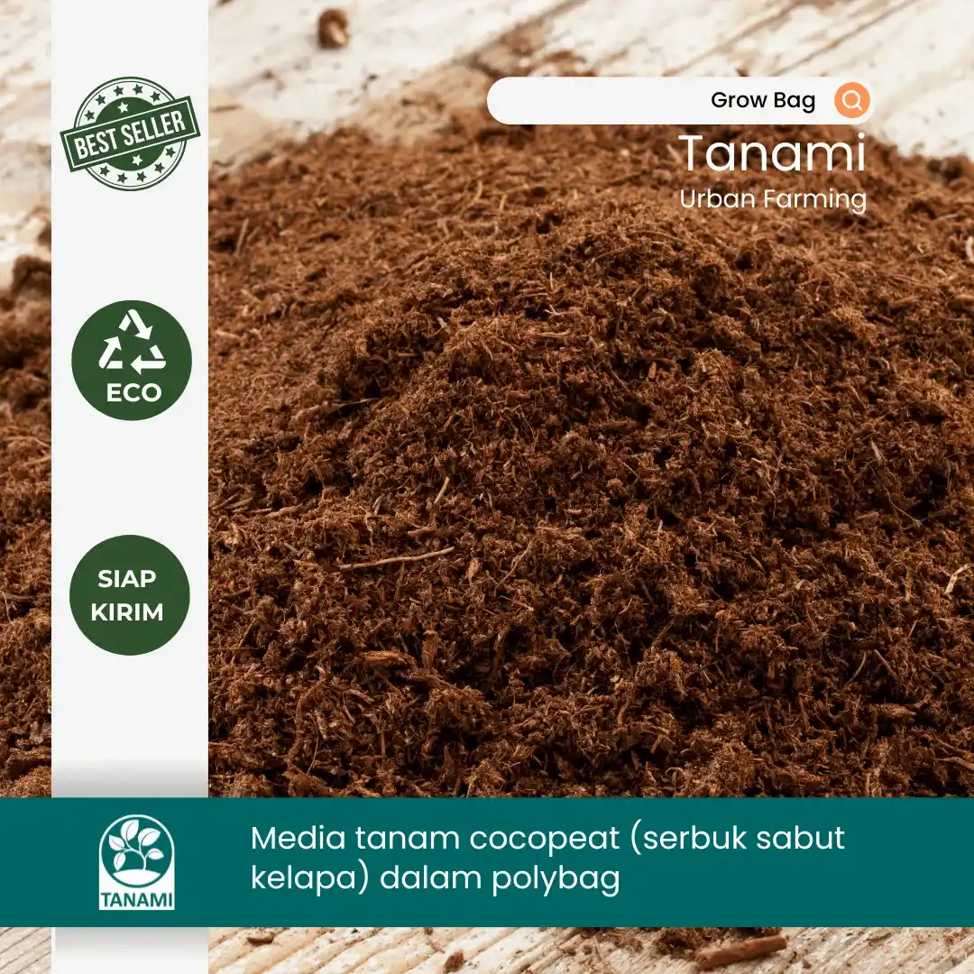 media tanam sayuran di polybag