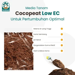 beli cocopeat low ec