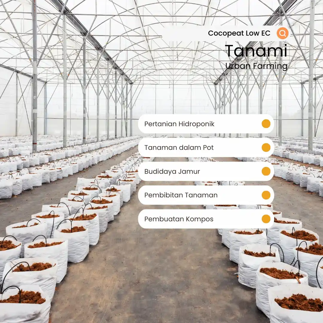 beli cocopeat terdekat