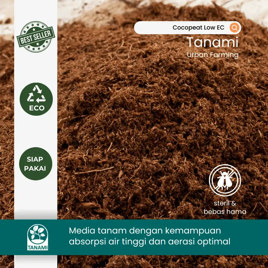 jual cocopeat grosir
