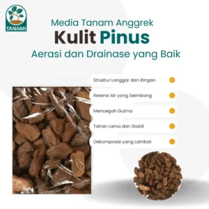 jual kulit pinus cacah terdekat
