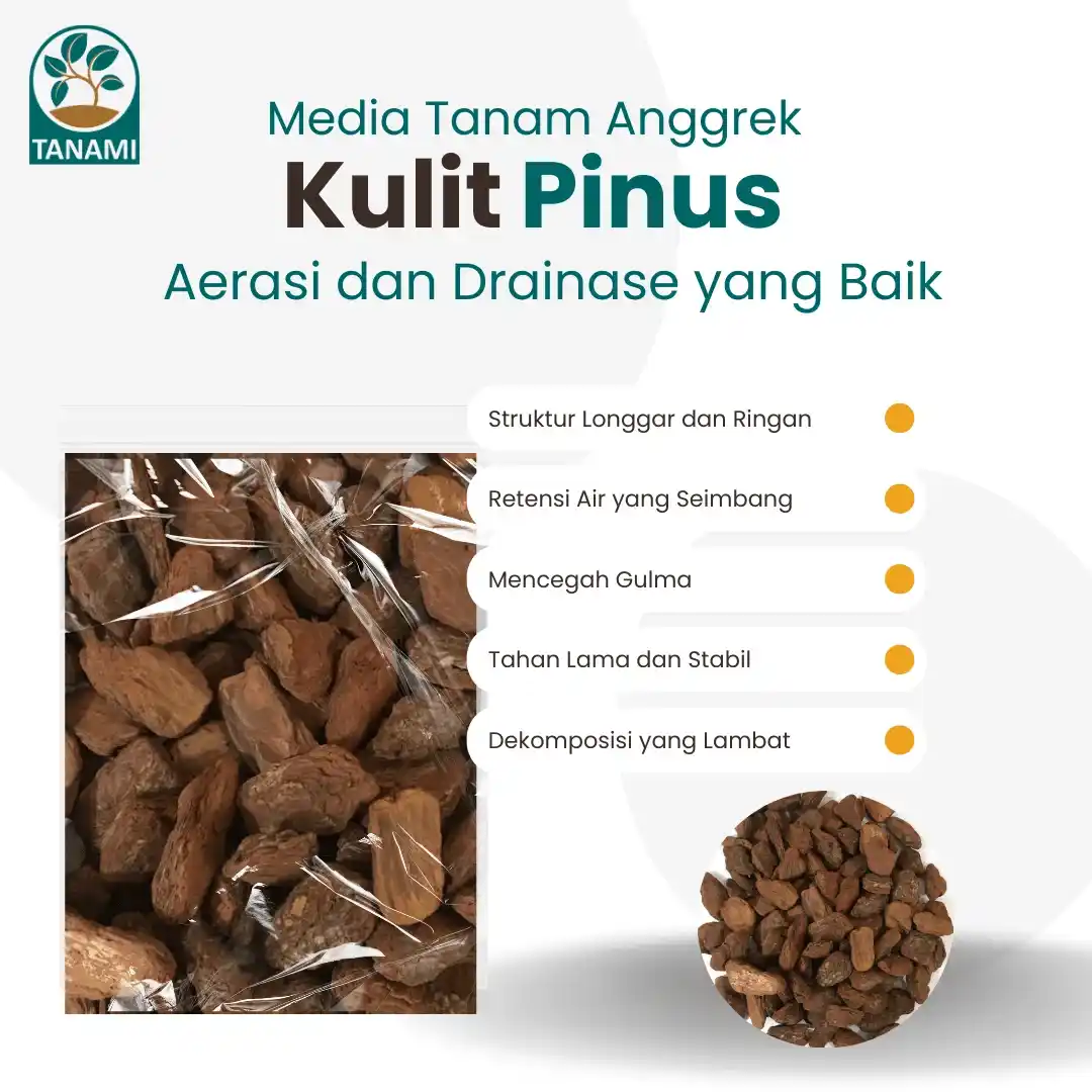 jual kulit pinus cacah terdekat